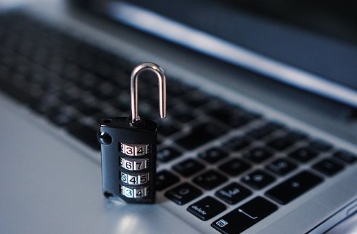 Tackling Cyber Crime: The Role of Private Security